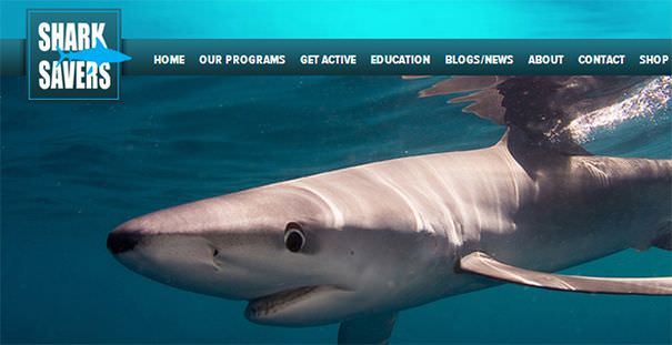 《公益》SHARK SAVERS國際鯊魚動保團體@拒絕吃魚翅‧復育鯊魚‧一起愛心公益
