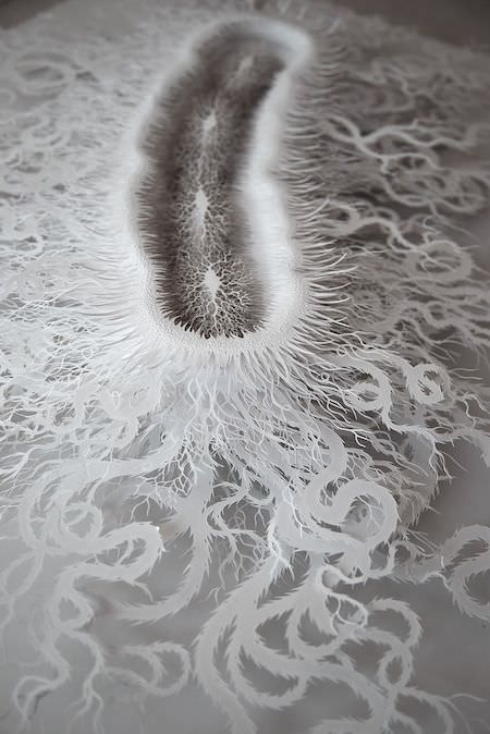 [視覺傳達]細菌紙雕藝術