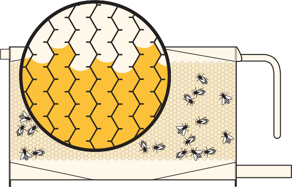 [產品設計]快速取蜜創新蜂巢屋