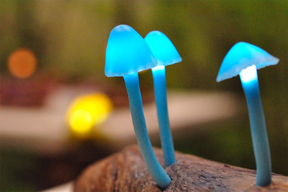 [家具設計]日本出品「森林系蘑菇桌燈裝置藝術」