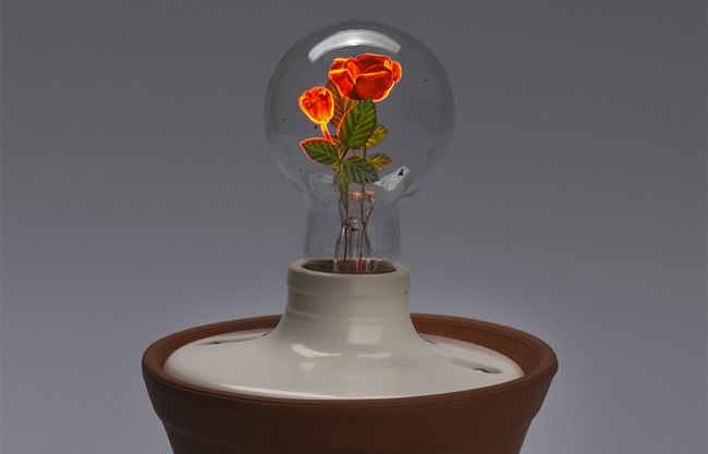 [家具設計]Aerolux出品「創新燈具植栽裝置藝術」