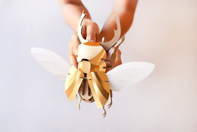 [工藝設計]荷蘭 Assembli 3D立體昆蟲紙雕