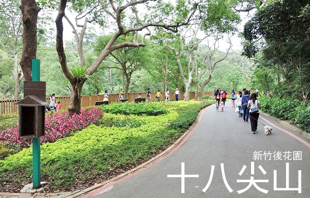 [新竹旅遊]十八尖山@在地健走養生後花園‧人稱花季小陽明山 - Funtory設計生活